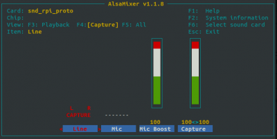 Alsamixer Input